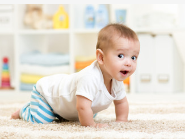bebecash_actualite_bebe_4_pattes