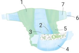 Taille 5