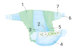 Taille 6