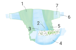 Taille 7